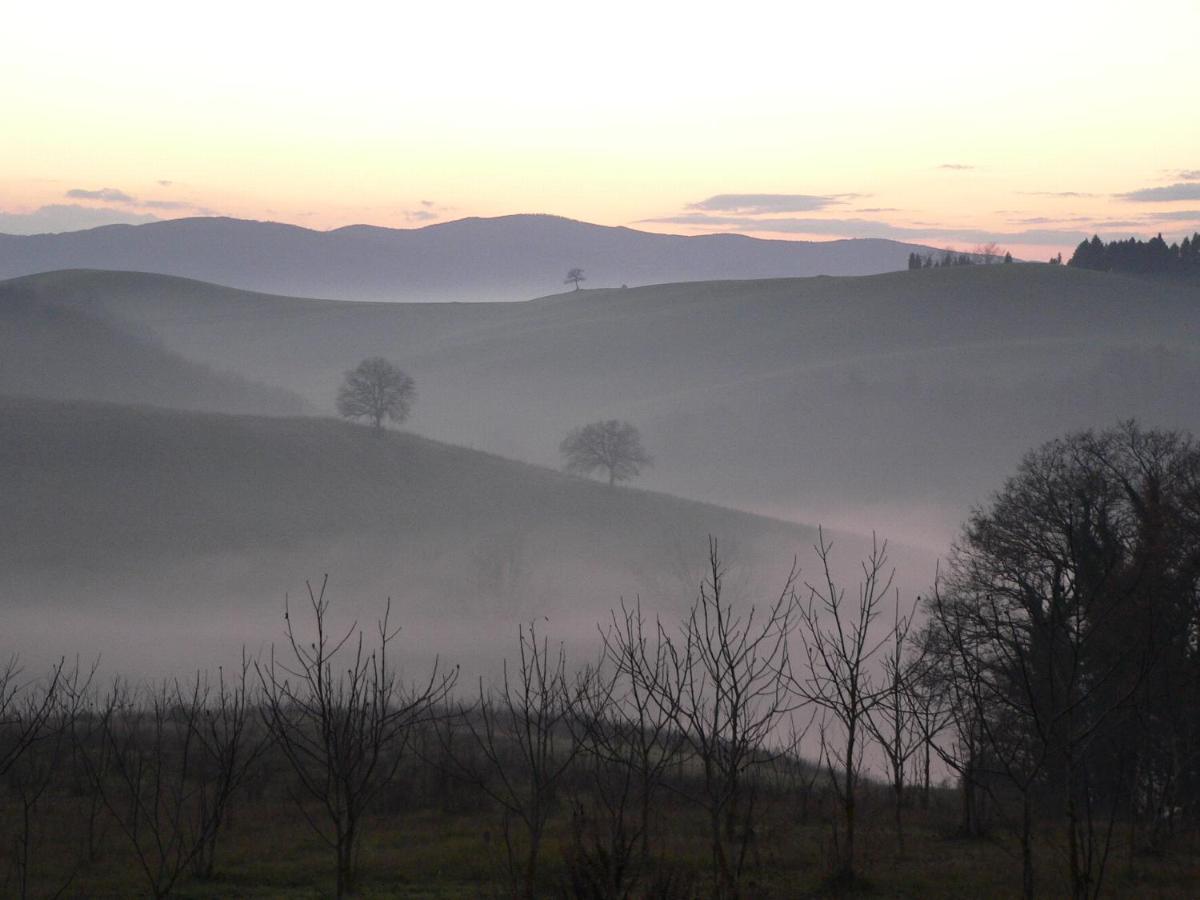 Podere Sant'Antonio Буонконвенто Экстерьер фото