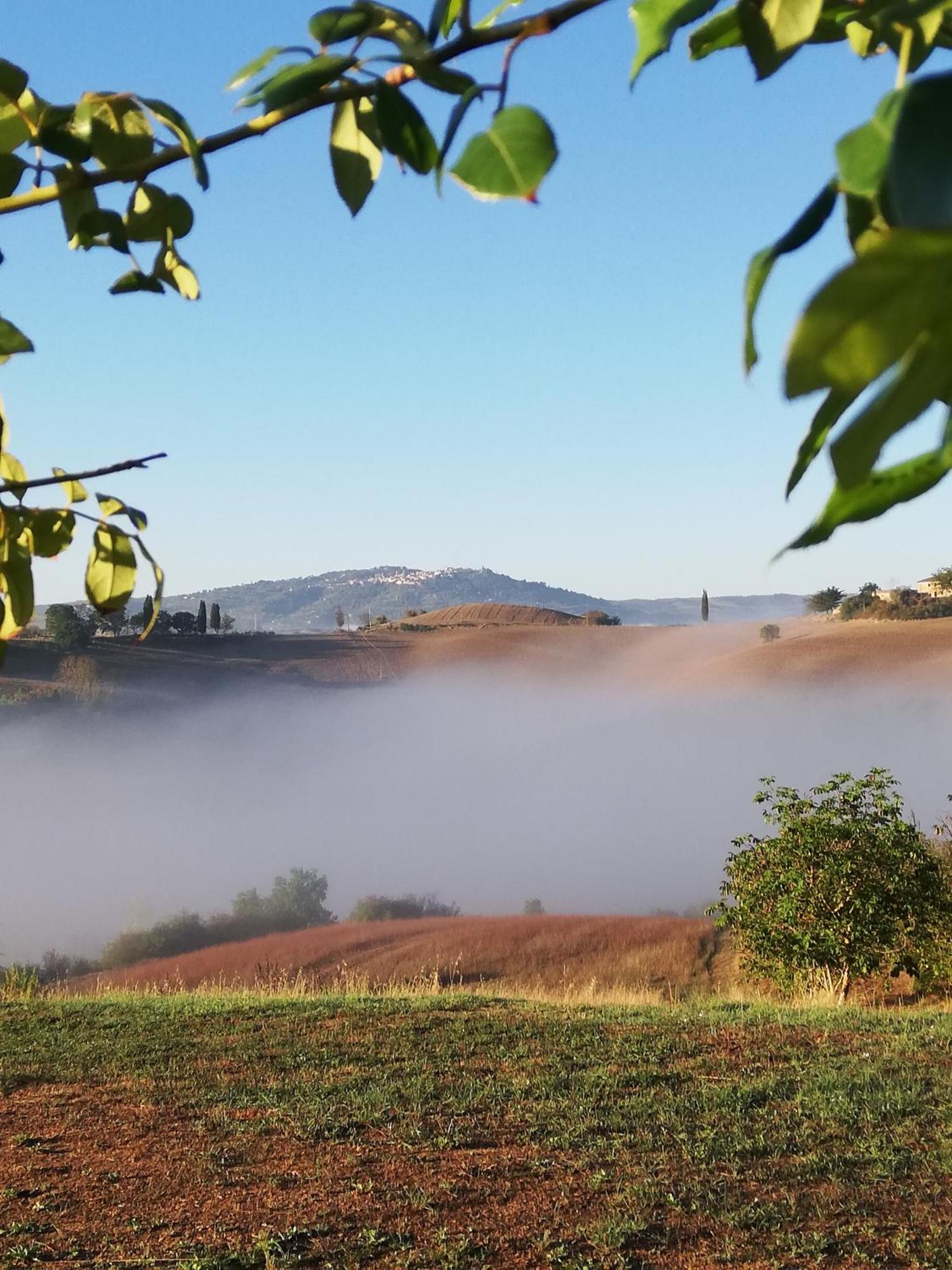 Podere Sant'Antonio Буонконвенто Экстерьер фото